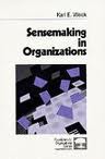 Sensemaking